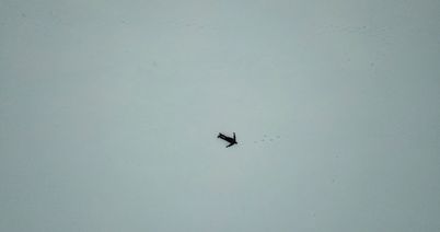 Filmstill aus Viera Čákanyovás „FREM“. Von weit oben aus der Luft fotografiert sieht man eine dunkel gekleidete, menschliche Figur in einer weiten Eiswüste liegen.