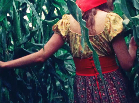 Film still from SUSAN THROUGH THE CORN: A woman walks through a cornfield. You see her from behind, wearing colorful clothes.