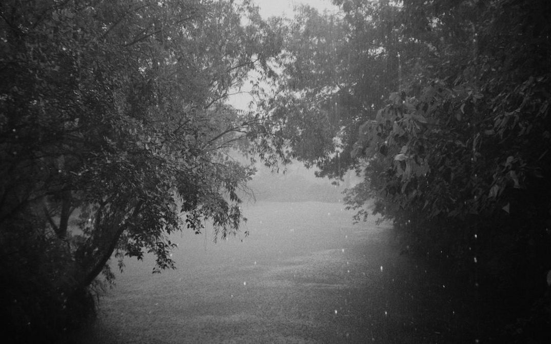 Film still from JET LAG: View of a landscape with trees and a body of water.