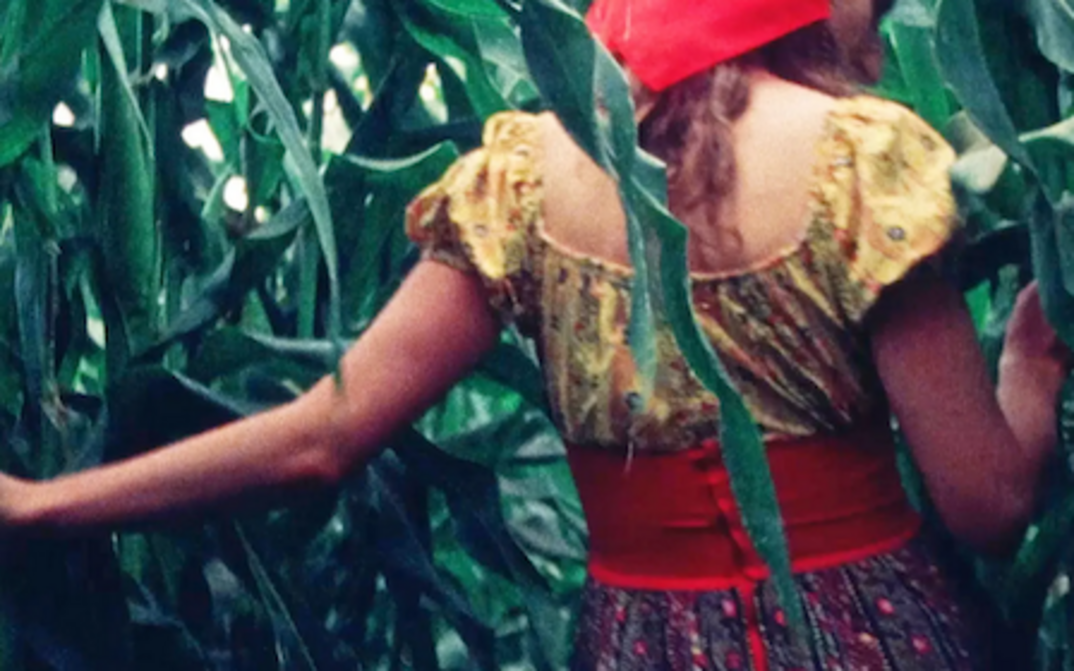 Film still from SUSAN THROUGH THE CORN: A woman walks through a cornfield. You see her from behind, wearing colorful clothes.