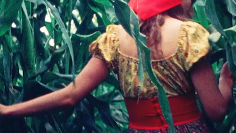 Film still from SUSAN THROUGH THE CORN: A woman walks through a cornfield. You see her from behind, wearing colorful clothes.