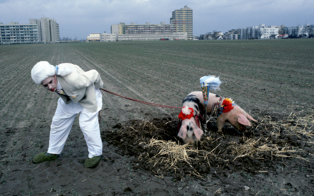 Film still from USINIMAGE: n a field, a person dressed in white holds two decorated pigs on a leash. Skyscrapers can be seen in the background.