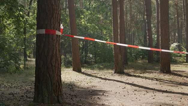 Film still from Feargal Ward’s film “Tin City”. A clearing surrounded by fencing, a construction banner is stretched between two pine trees, whose shadows extend across the dirt ground.