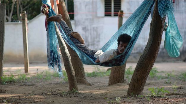 Ein junger Mann schläft in Hängematte zwischen Bäumen in ruhigem Hof.