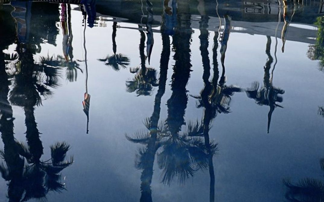A water surface on which the blue sky and the palm trees are reflected.