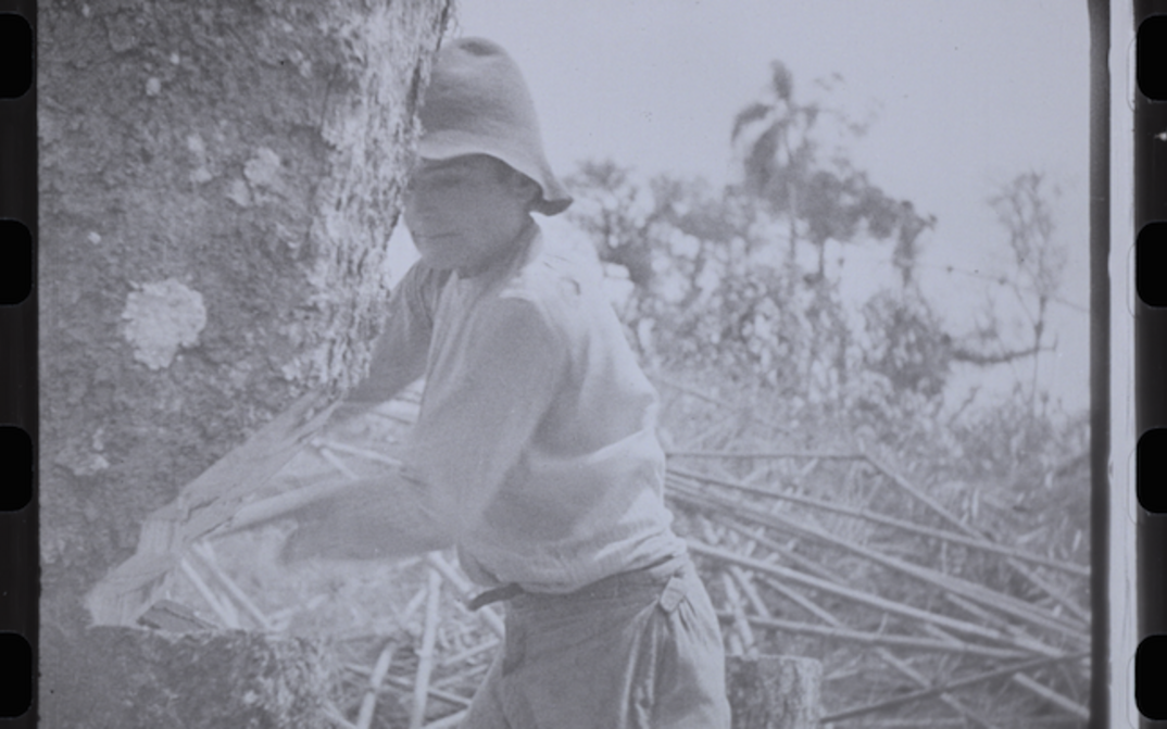 Filmstill: Ein Mann ist dabei, einen Baum zu fällen.