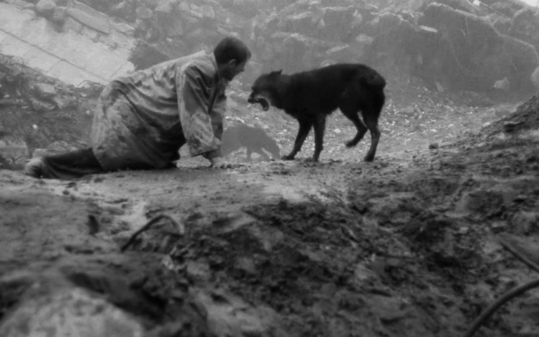 Filmstill aus KÁRHOZAT: Ein Mann ist auf allen Vieren auf der nackten Erde, neben ihm ein Hund.