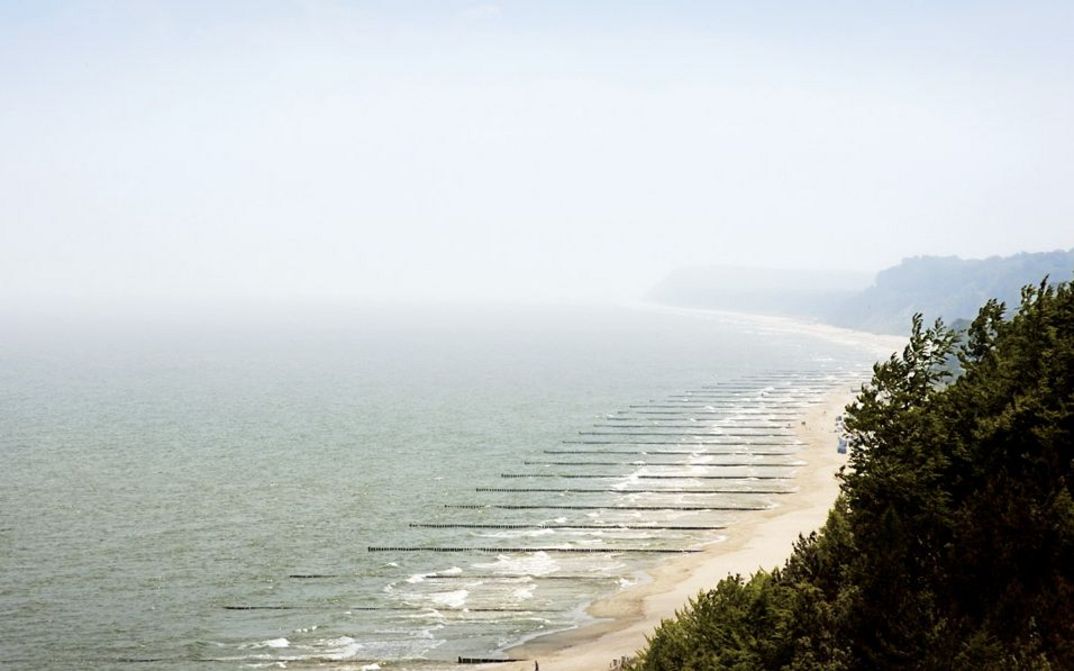 Still from the film "Gehen und Bleiben" by Volker Koepp. A misty image of a seashore with turquoise-grey water on the left handside, and a green forest on the right side.