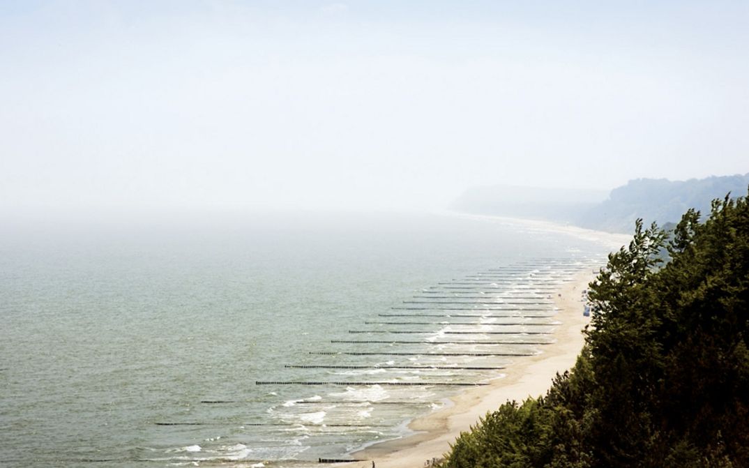 Still from the film "Gehen und Bleiben" by Volker Koepp. A misty image of a seashore with turquoise-grey water on the left handside, and a green forest on the right side.