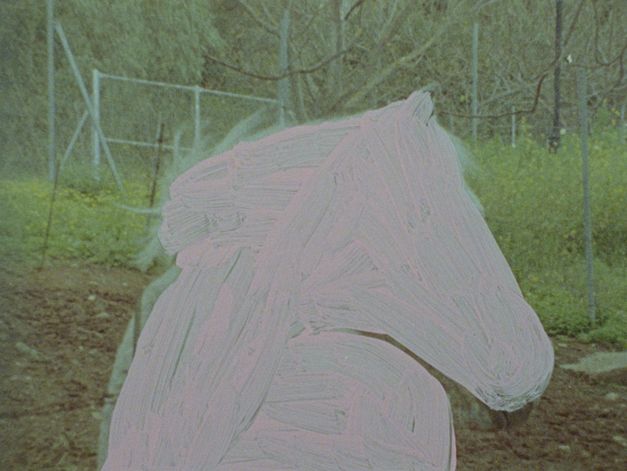 Film still from Elena Duque’s film “Portales”. A pale pink horse, painted with swift strokes on a film strip, overlays the image of an overgrown field.