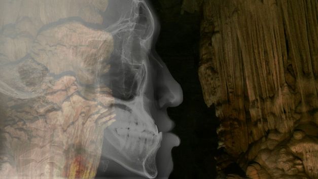 Film still from Chonchanok Thanatteepwong and Pobwarat Maprasob’s film “Mountain Roars”. A human profile revealed by MRI with its multiple anatomical layers (skeleton, tissues, skin) merges, in superimposition, with an underground cave. 