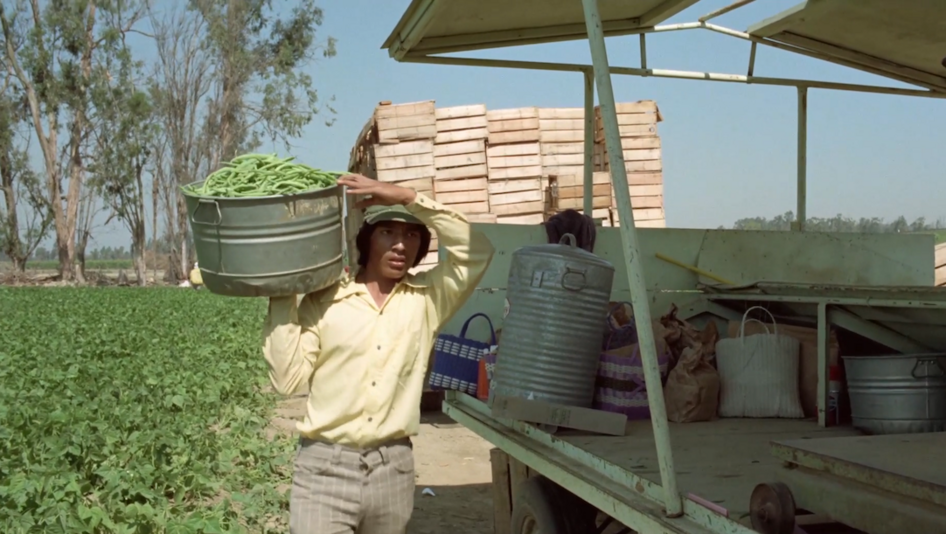 Filmstill aus LA CAUSA: Ein junger Landarbeiter steht neben einem Feld und einem Traktor und trägt einen Behälter mit geernteten Bohnen.