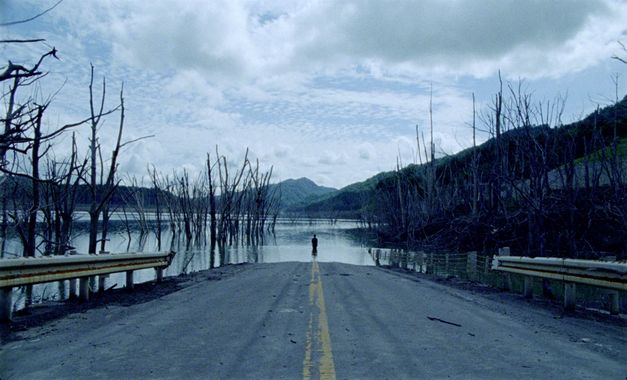 Filmstill aus UNDERGROUND von Kaori Oda. Das Bild zeigt das Ende einer Straße, die ins Wasser übergeht. Links und rechts stehen abgestorbene Bäume. In der Bildmitte steht eine Person im Wasser. 