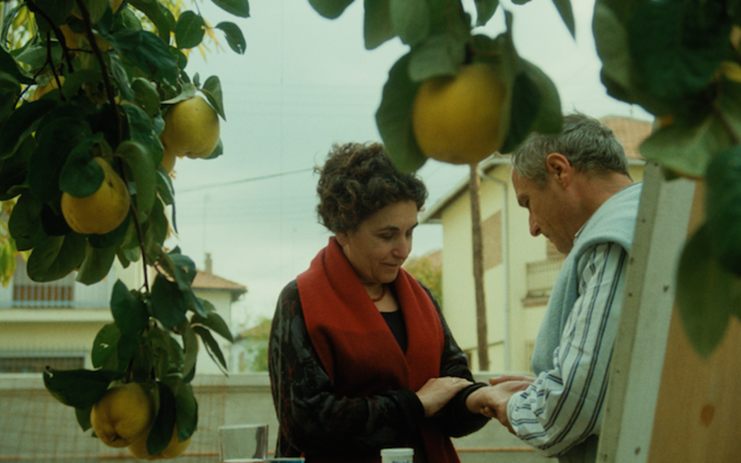 Film still from EL SOL DE MEMBRILLO: In the foreground you can see the branches of a quince tree with ripe quinces. In the background, a man and a woman are standing in front of an easel.