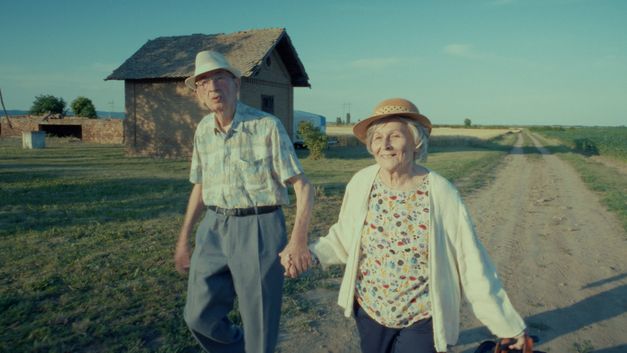 Film still from EIGHTY PLUS by Želimir Žilnik. The picture shows an elderly woman and an elderly man walking hand in hand along a dirt road. In the background is a single house.  