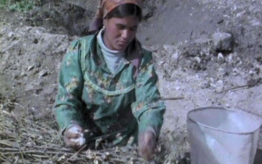 Film still from IQA’ AL-HAYA: A woman is working in a field.