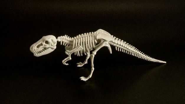 Film still from LITLE BOY by James Benning. The image shows a white toy dinosaur skeleton against a black background. 