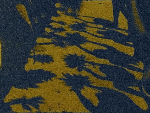 Film still from LA MEMORIA DE LAS MARIPOSAS by Tatiana Fuentes Sadowski. The image shows the shadows of two rows of people, cast on the ground between them by the sun. 