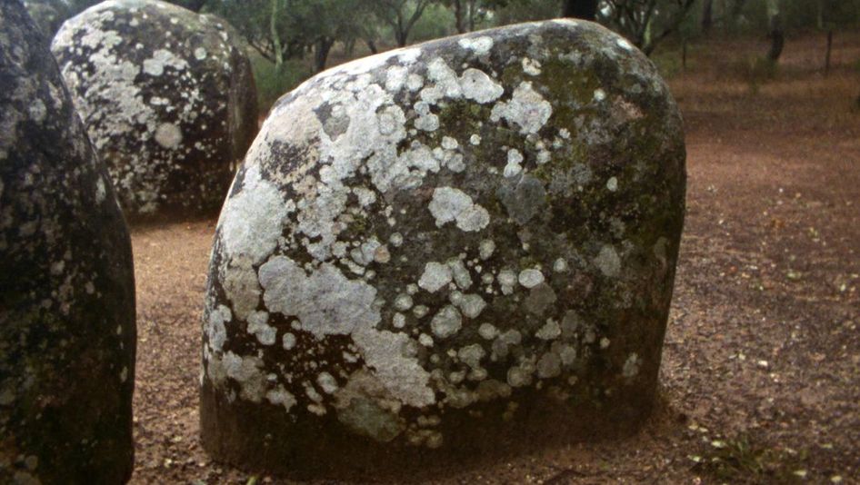 Filmstill aus LAST THINGS: Ein großer fast runder Stein mit Flechten. Im Hintergrund sind weitere Steine und Bäume.