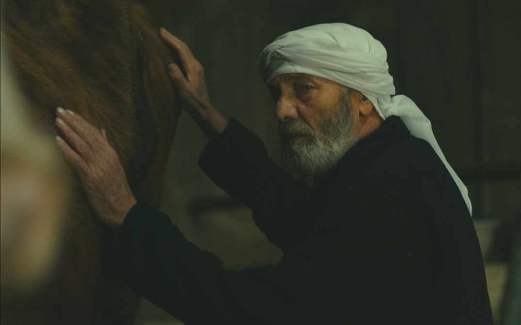 Film still from THE STRANGER. An elderly man has his hands on the body of a cow.