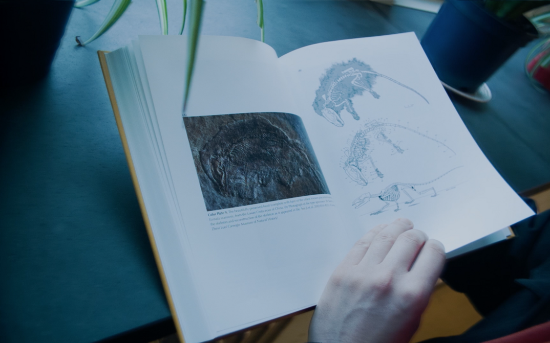 Film still from It’s a Long Way from Amphioxus: A hand leafs through a book with illustrations of dinosaur skeletons.