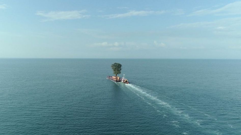 Film still from TAMING THE GARDEN: On the sea you can see a small ship with a large tree on it.