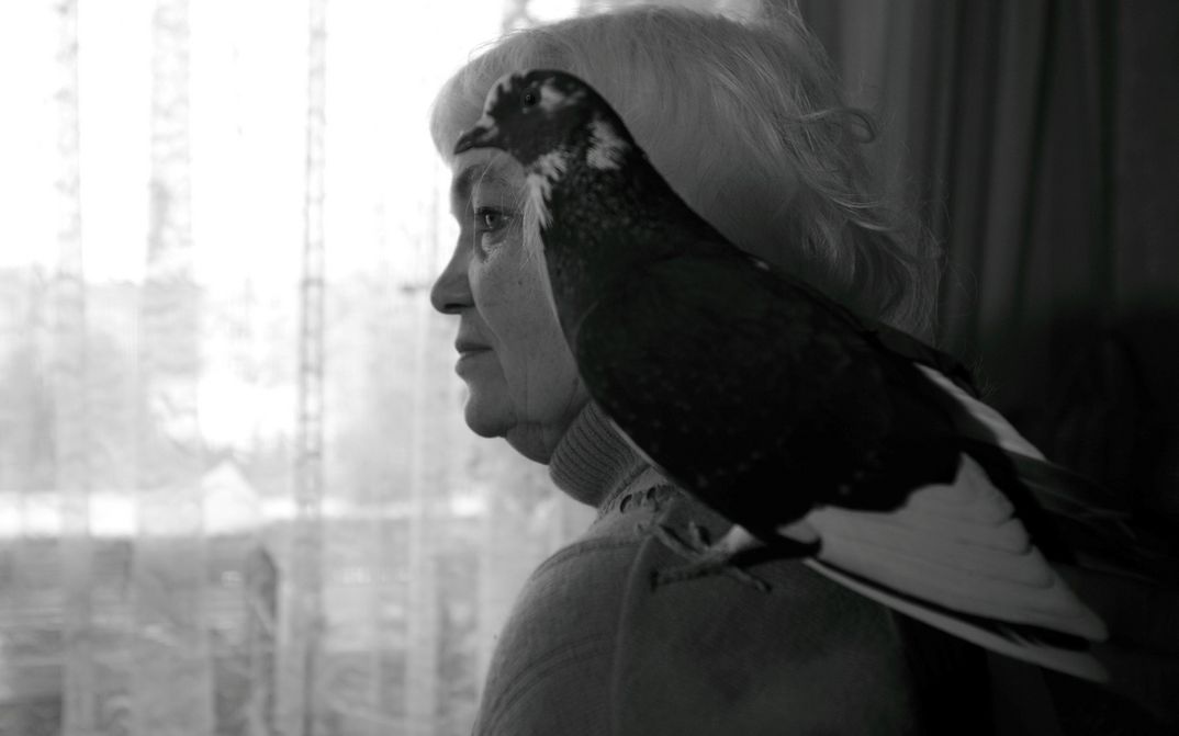 Film still from 33 ANIMALS OF SANTA CLAUS: A woman stands in front of a window with curtains. A bird sits on her shoulder.